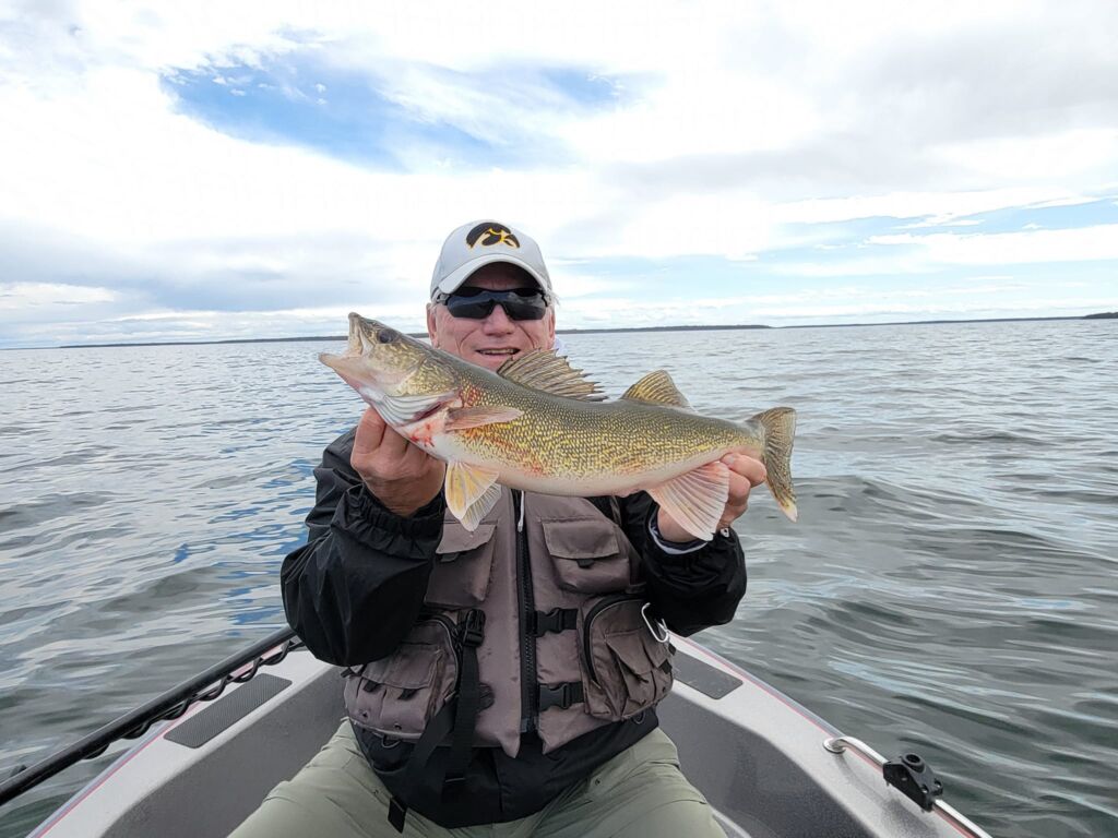 Leech-Lake-Gold-Minnesota-Longville-Walleye