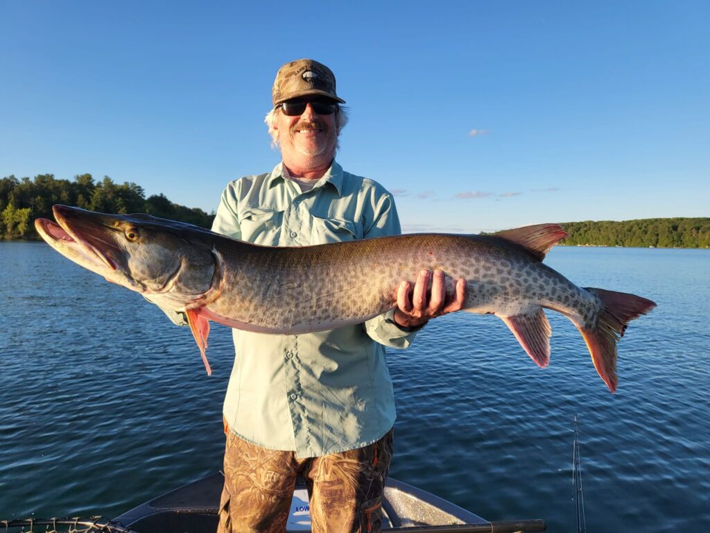 Steve Nosbish Guide Service Musky Leech Lake Walker Minnesota